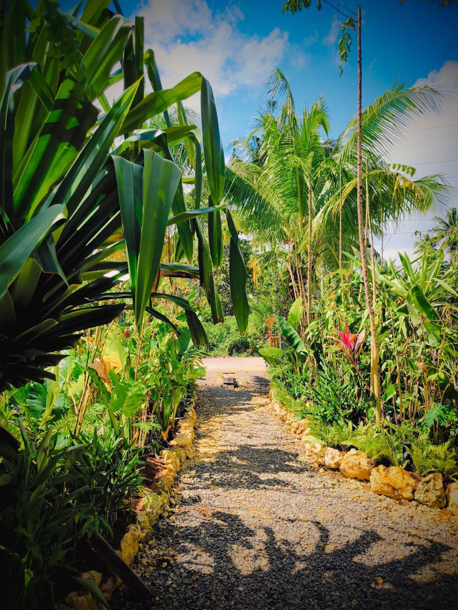 ג'נרל לונה The Ohm Siargao Resort מראה חיצוני תמונה