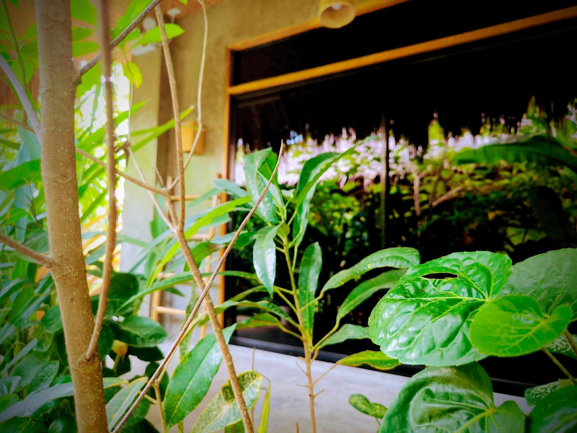 ג'נרל לונה The Ohm Siargao Resort מראה חיצוני תמונה