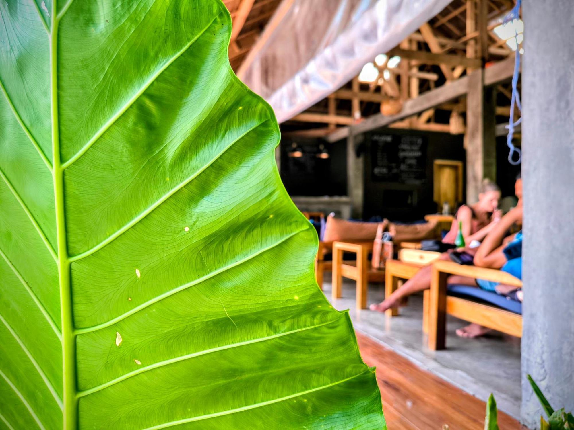 ג'נרל לונה The Ohm Siargao Resort מראה חיצוני תמונה
