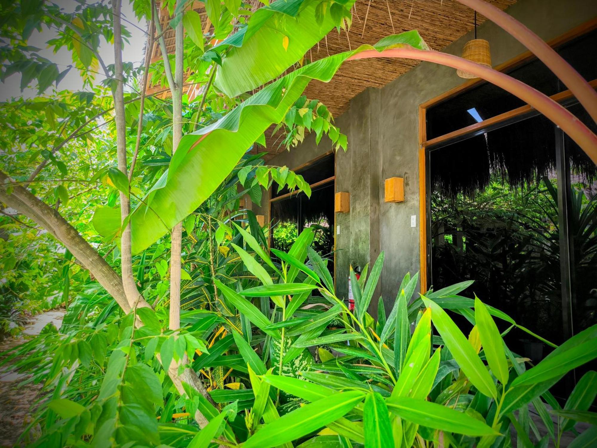 ג'נרל לונה The Ohm Siargao Resort מראה חיצוני תמונה